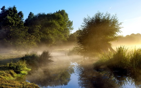 morning, mist, nature