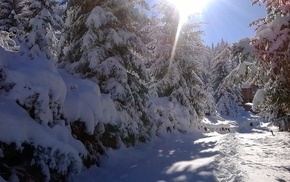 winter, snow