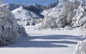 snow, winter, mountain, trees