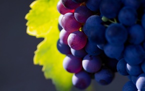 grapes, depth of field