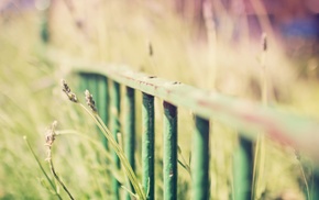 depth of field, fence