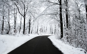 snow, road, trees