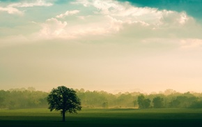 nature, landscape
