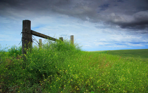 sky, nature, fence, grass