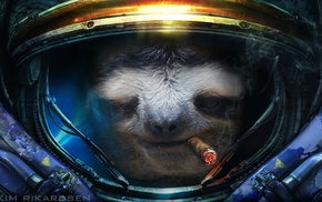 humor, cigars, sloths, Starcraft II