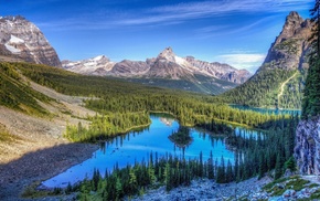 landscape, trees, Rocky Mountain National Park, lake, mountain