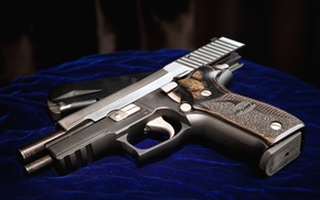 gun