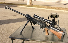 gun