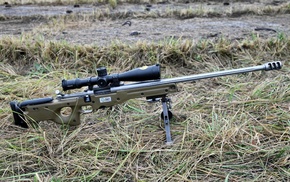 gun