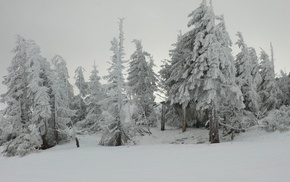 snow