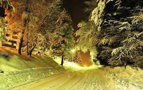 lights, trees, snow, road