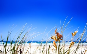 grass, stunner, ocean, sky