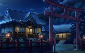 artwork, Asian architecture, lights, night, torii, lantern