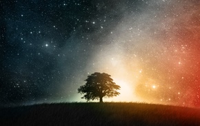 trees, space, stars