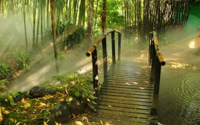 nature, landscape
