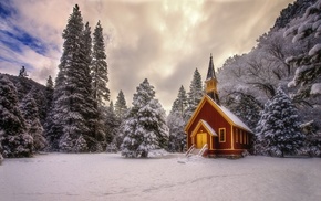 snow, lodge, winter, Christmas tree