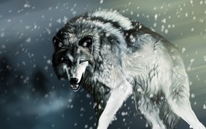 animals, wolf, snow