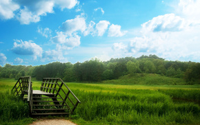grass, nature
