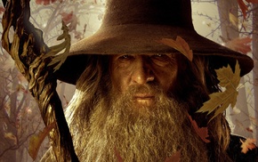 The Lord of the Rings, Ian McKellen, The Hobbit, Gandalf