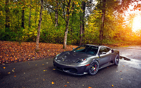 Ferrari, trees, wheels, cars, autumn
