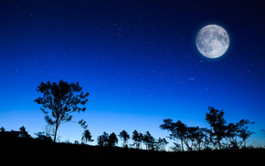 nature, trees, moon, sky