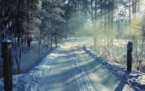 winter, snow