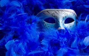 venetian masks, feathers, mask