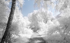 nature