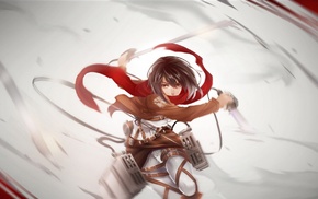 anime girls, Mikasa Ackerman, Shingeki no Kyojin, anime