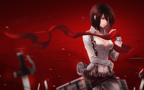 Mikasa Ackerman, anime, anime girls, Shingeki no Kyojin