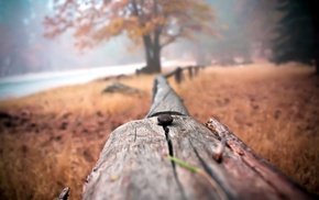 depth of field, wood, fence, nails, nature