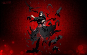 Naruto Shippuuden, anime, raven, Uchiha Itachi, anime boys, Akatsuki