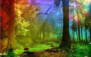 stunner, forest, light