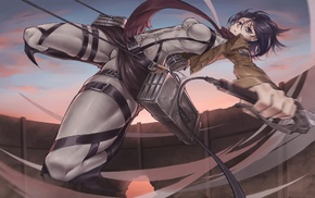 Mikasa Ackerman, Shingeki no Kyojin, anime, anime girls