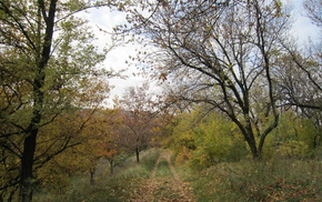 nature
