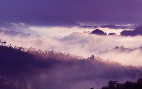 mist, landscape, trees