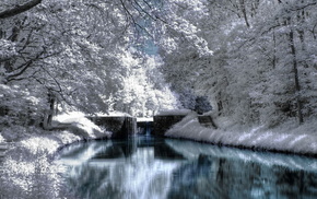 snow, water, reflection, winter, trees