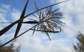 nature, sky