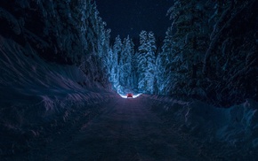 road, winter, car, night, forest