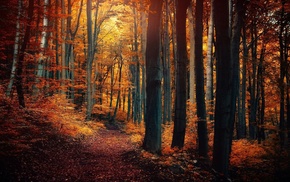 nature