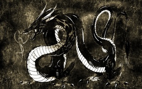 dragon, artwork