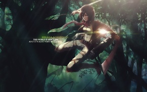 anime girls, Mikasa Ackerman, anime, Shingeki no Kyojin