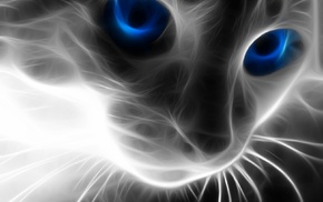 Fractalius, cat, blue eyes