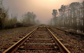 trees, mist, leaves, railway