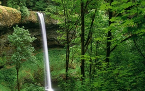 trees, waterfall