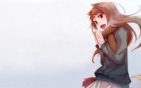cold, anime girls, Holo, Spice and Wolf, anime