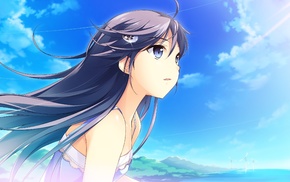 anime, Misagi Isuka