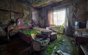 indoors, bed, overgrown, house, ruin