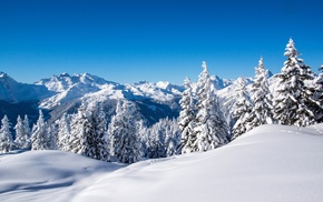 forest, snow, landscape, mountain