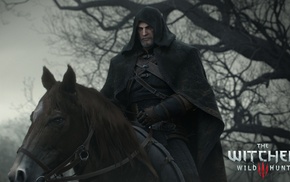 The Witcher 3 Wild Hunt, Geralt of Rivia, video games